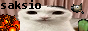 Clickable Image